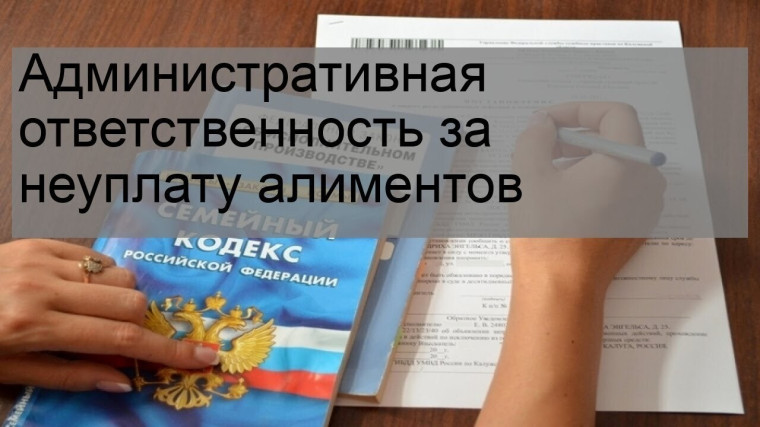 Жительница Красногвардейского района осуждена за неуплату алиментов.